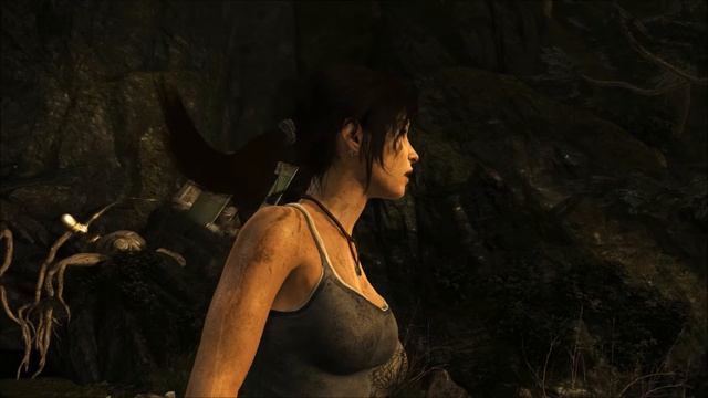 Tomb Raider Benchmark Tool смотреть онлайн