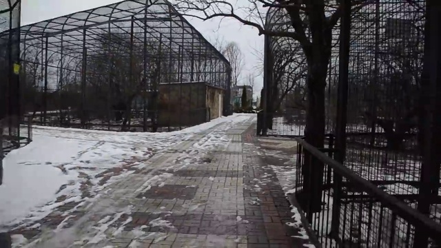 Вольер с пумами ! Дорожки на снегу ! смотреть онлайн