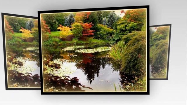 Счастливой и теплой Вам осени друзья! смотреть онлайн