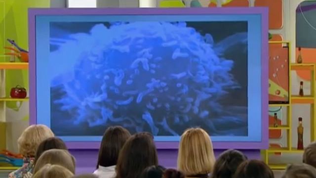 СРАВНЕНИЕ АСИТ И АЛТ (АУТОЛИМФОЦИТОТЕРАПИИ) ПРИ ЛЕЧЕНИИ АЛЛЕРГИИ (О СAМОМ ГЛAВНОМ 09.03.2016)