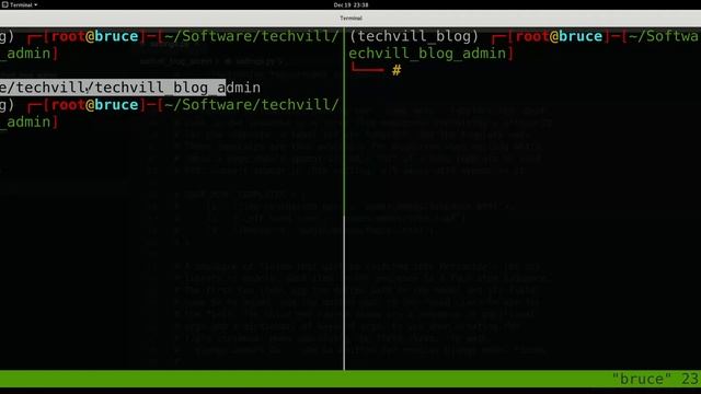 Python Interpreter VS Django Shell смотреть онлайн