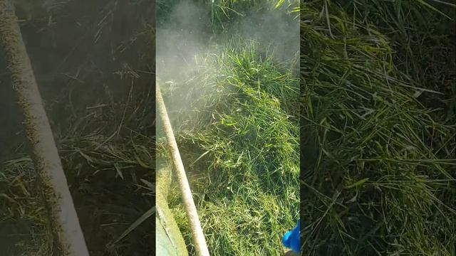 CORTE CÉSPED!! CAMARA LENTA FS450 смотреть онлайн