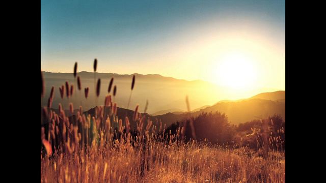 Oliver Shanti Buddha and Bonsai Vol. 1 смотреть онлайн