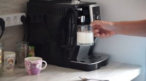 Ручной капучинатор DeLonghi