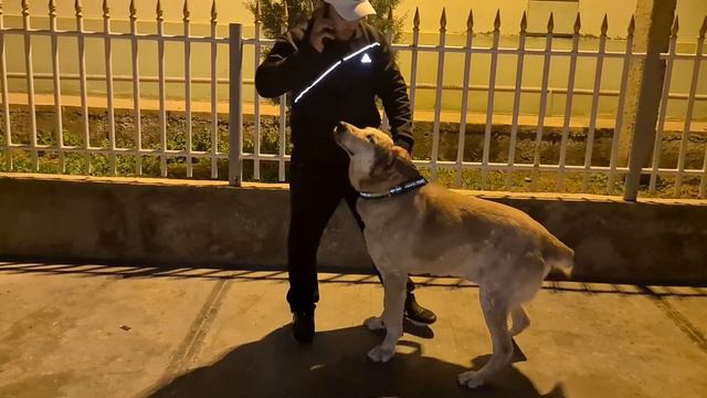 в гостях у Алты район Чоганлы! смотреть онлайн