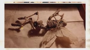 Мерлин, настоящие дракончики, эльфы, оборотни и прочая нечисть