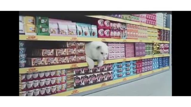как коты ходят могозин смотреть онлайн