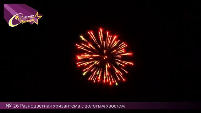 Разноцветная хризантема. Фейерверочный шар № 26 смотреть онлайн