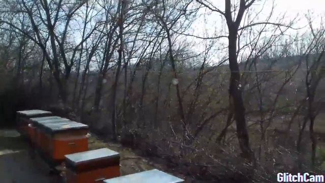 Стоп Птицы. Борьба с птицами на пасеке. смотреть онлайн