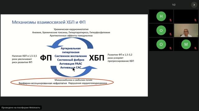 9-11-22 Кардиология Использование ПОАК в особых ситуациях Енисеева ЕС