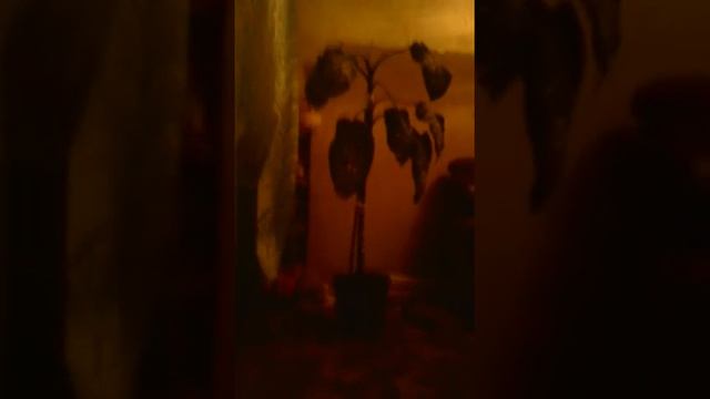 Как за пять минут выучить стих смотреть онлайн