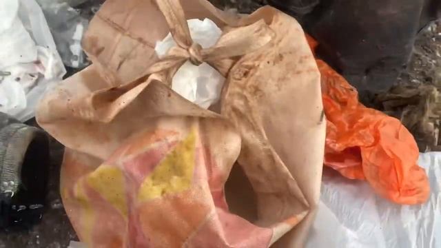 Находки на Минской свалке.обзор Деньги из мусора. Мусорщик смотреть онлайн