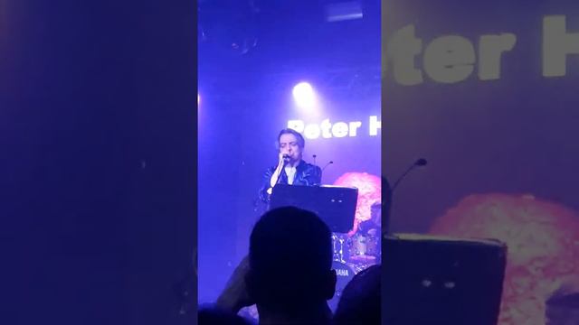 Peter Heppner ❤❤❤❤ смотреть онлайн