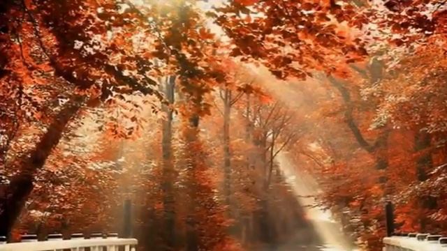 Осеннее танго муз и исп Веры Колесниковой смотреть онлайн