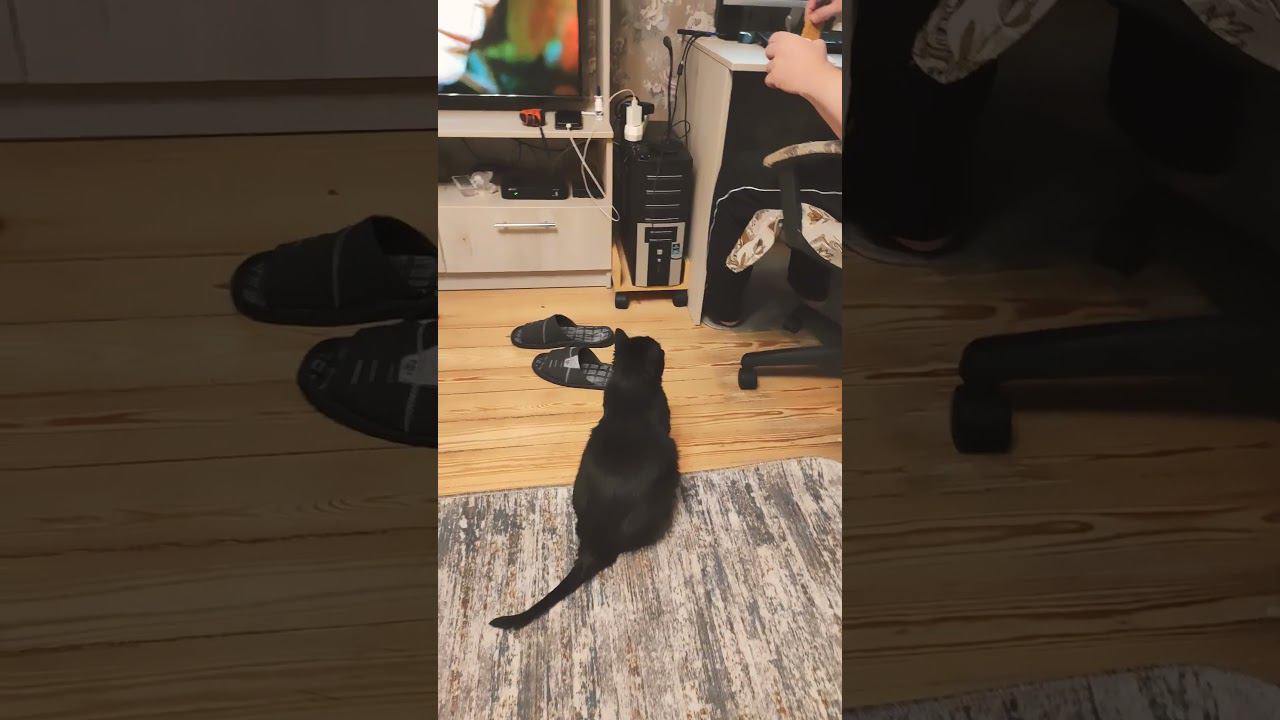 Каждый раз так)) смотреть онлайн