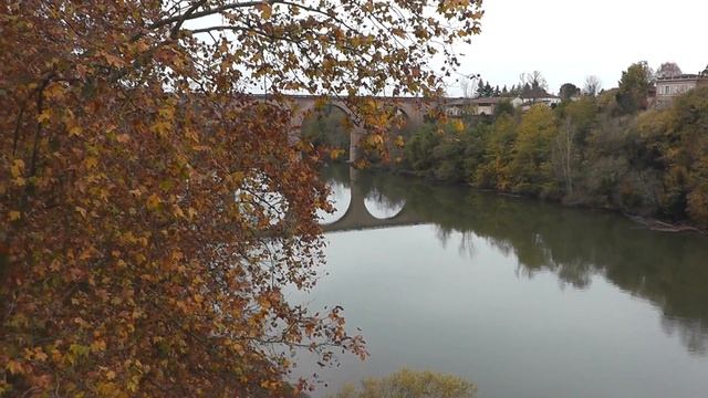 Поездка в Альби (Albi, France)