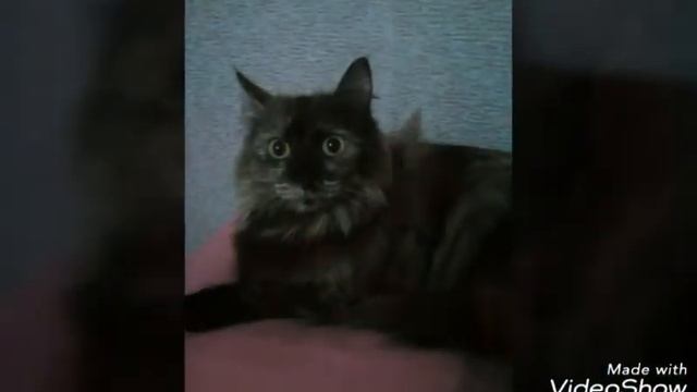 Чтоб скачать скины как у меня просто заходите в плейлист маркет и набирайте скины ютуберов и все смотреть онлайн