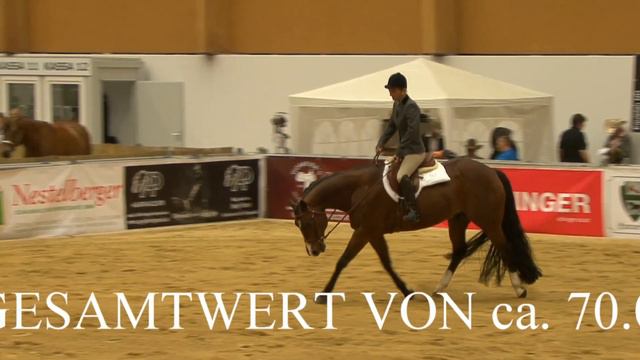 NRHA MATURITY WELS 2019 --- Teaser --- NOV 2018 смотреть онлайн