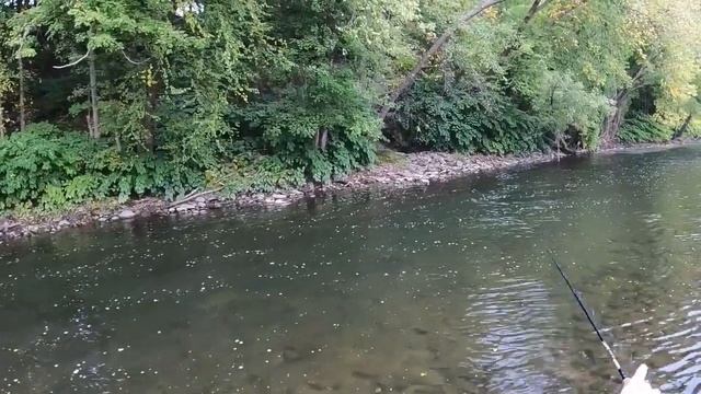 Fall Trout Fishing With Gulp Minnows смотреть онлайн