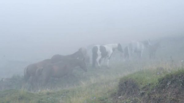 Autoblog.test: тест-драйв Ford Explorer - внедорожник или кроссовер?