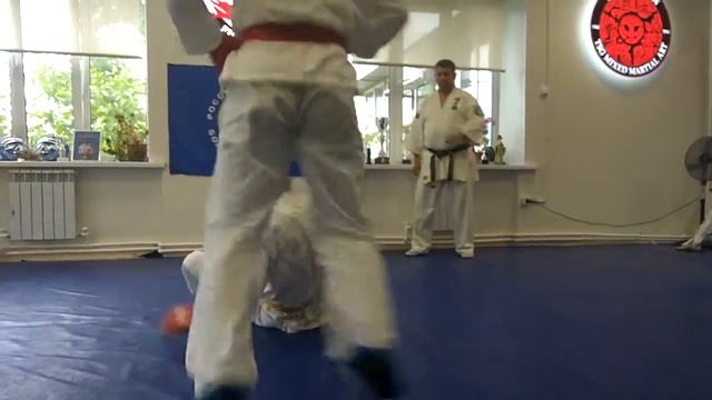 TSG реньшю синий пояс