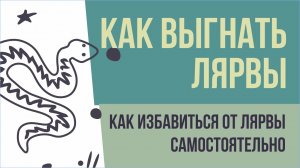 Как выгнать лярвы. Как избавиться от лярвы самостоятельно! | Евгений Грин