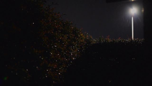 Relaxing Guitar Music and Rain to Sleep Study and Focus | 1 Hour смотреть онлайн