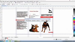 КАК ПОДГОТОВИТЬ БУКЛЕТ В ПЕЧАТЬ В ПРОГРАММЕ КОРЕЛ. ПОДРОБНЫЙ УРОК ДЛЯ НАЧИНАЮЩИХ. СМОТРИ ОПИСАНИЕ!