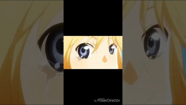 Снов осколки