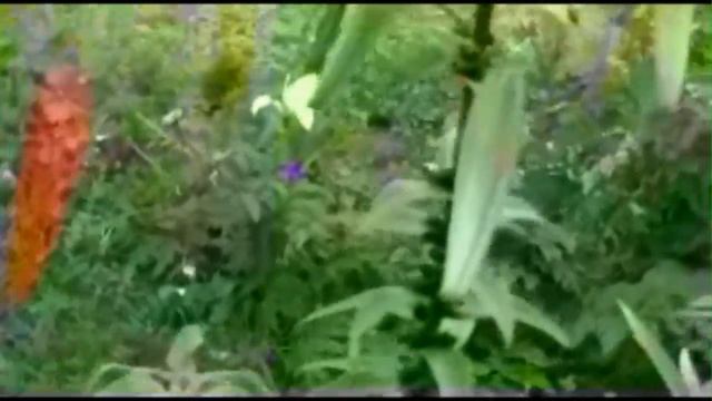 Царская корона. смотреть онлайн