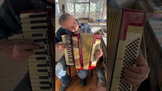 Barcarole Piano accordion, 96 Bass, 4 voices, Professional Accordion, 11+3 Register, Made in German смотреть онлайн