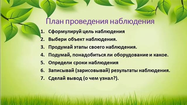 Естествознание. 2 класс. Зачем одуванчику парашют? смотреть онлайн