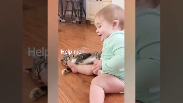 How a Baby React While Playing With Pet Cats смотреть онлайн