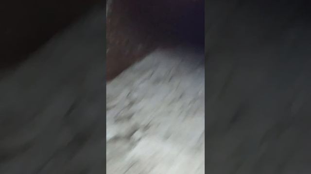 Куда смотрит наша местная администрация смотреть онлайн