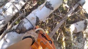 Советская бензопила Тайга-214. Пилим от первого лица!