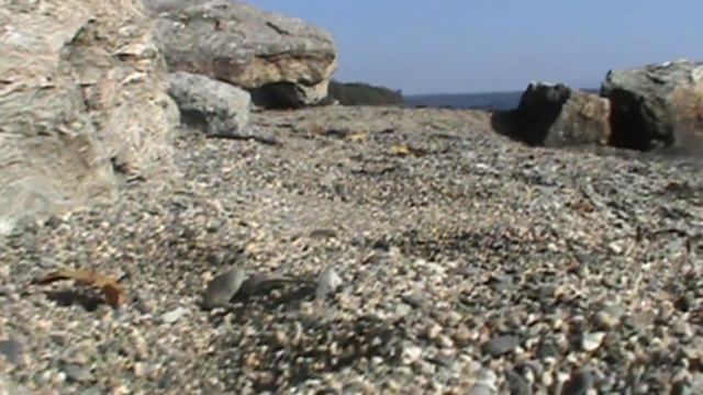 Nick's Bionicle Mods- Stone смотреть онлайн