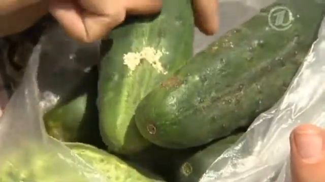 Еда вдоль трассы смотреть онлайн