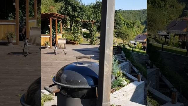 Лето 2021, Белокуриха. Отдых в Жар-птице. смотреть онлайн