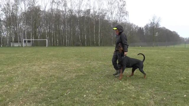 Agrias obedience смотреть онлайн