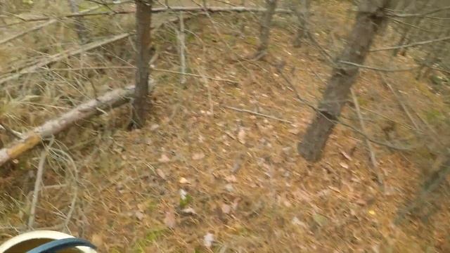 Вкусная кухня мира