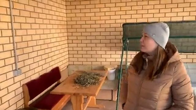ВЛОГ СКОЛЬКО ЗАРАБАТЫВАЮТ БЛОГЕРЫ БЕЗДЕЛЬНИКИ И УРОВЕНЬ ЖИЗНИ В ДОРОГОМ ПОСЕЛКЕ смотреть онлайн