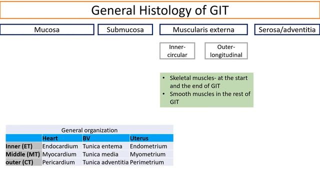 General Histology of Digestive System/GIT | Biology/Histology | by Imran Yaseen смотреть онлайн