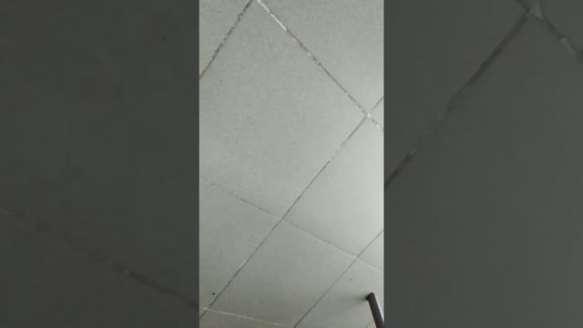 Звуки коридора в поликлинике смотреть онлайн