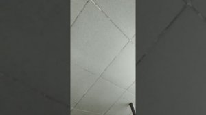 Звуки коридора в поликлинике