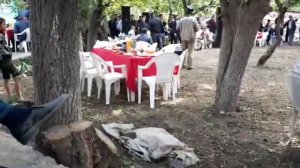 Умеди Шарифзод дар Дарғи Шариф туёна