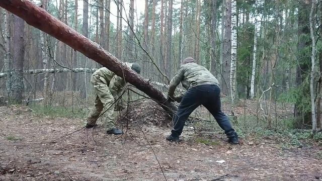 Кормилица19апреля2022года смотреть онлайн