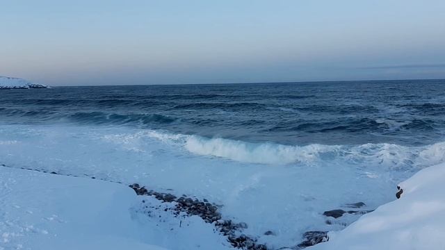 Териберка, Россия смотреть онлайн