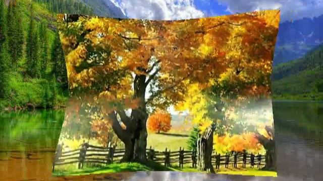 МНЕ ТАК ХОЛОДНО стихи ЗИНАИДЫ ИЛЬИНОЙ. смотреть онлайн