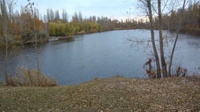 Картины осени. Запись #8. смотреть онлайн