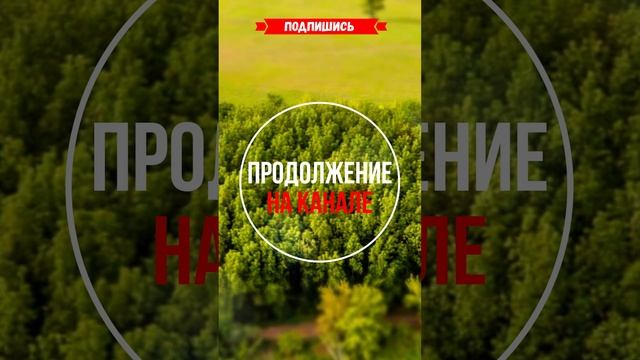 ? Все родственники заметили как она изменилась... #shorts смотреть онлайн